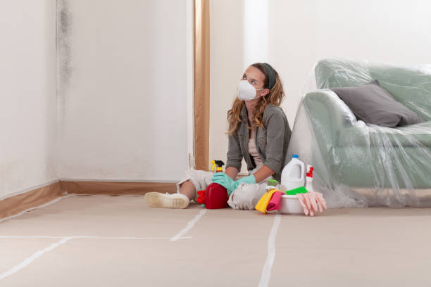 Reliable Black Mold Remediation contractor in Dallas, NC by 24 Hour Mold Removal